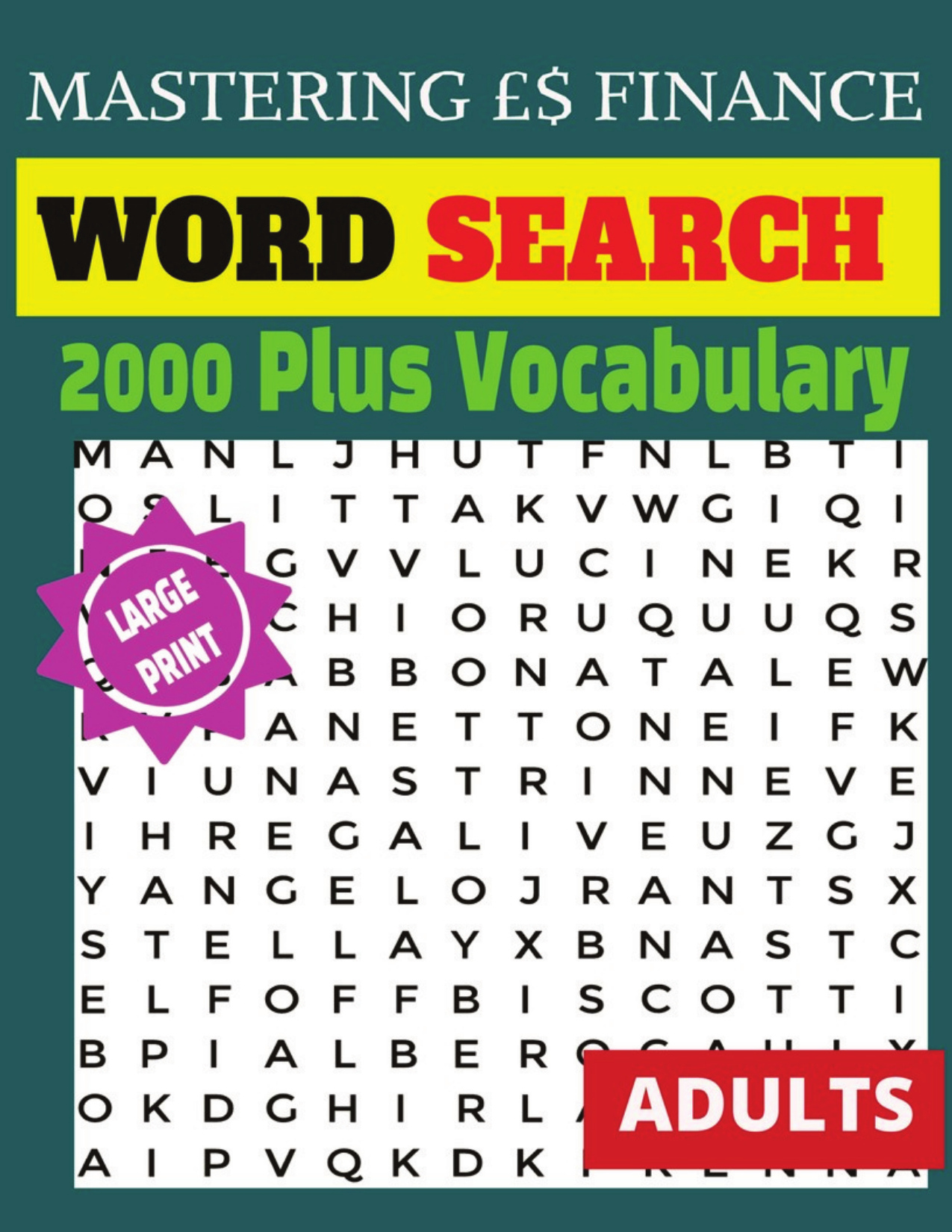 Mastering Finance Word Search book Mastering Finance Word Search book